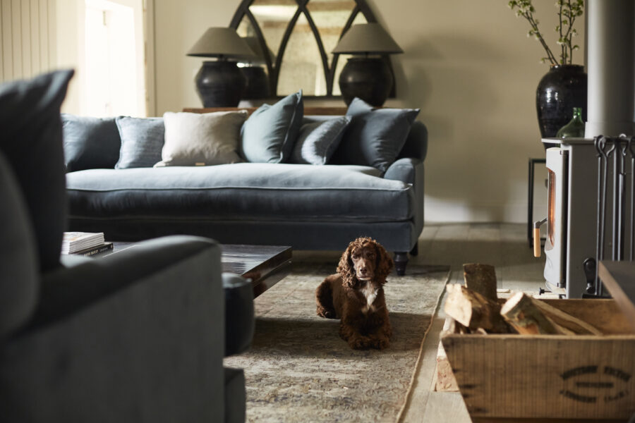 Blue sofa with dog sitting by log burner