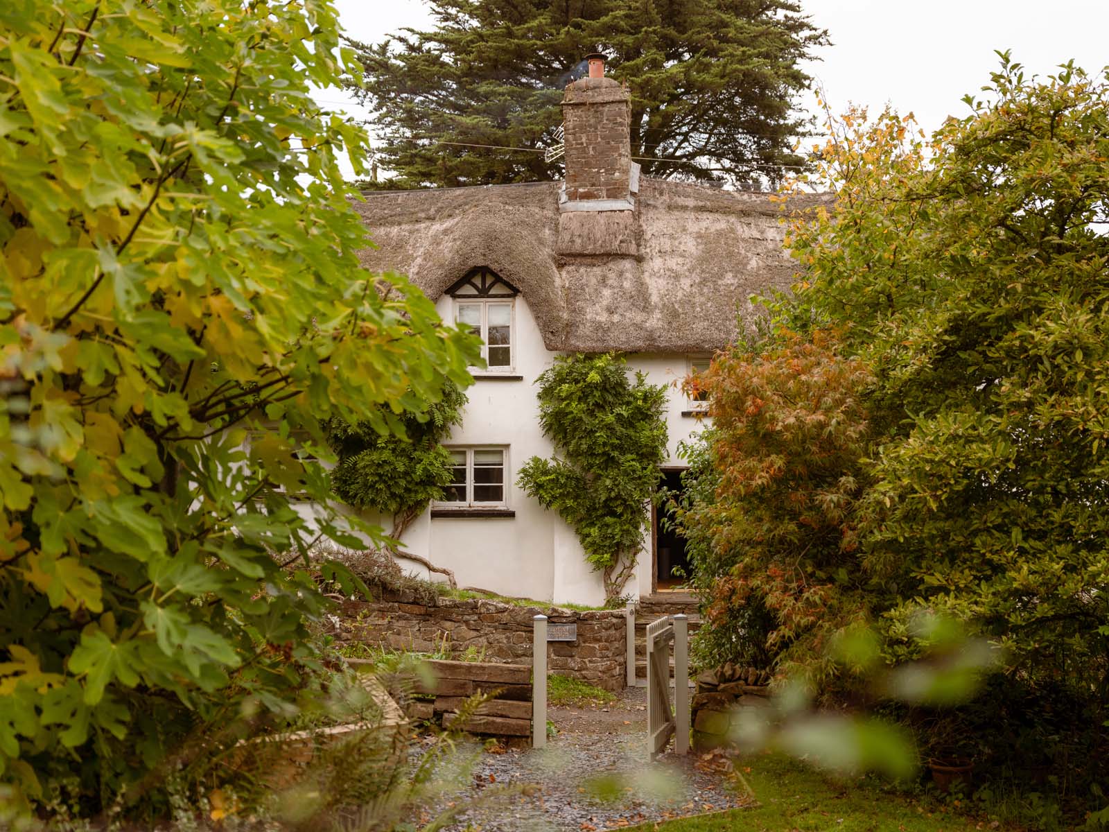 Cottage surrounded by autumn leaves in daylight